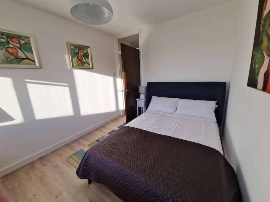 Newly Renovated Apartment! London Eksteriør billede